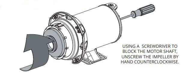 CARVIN SHARK JET Above Ground Pool Pump - figure 6