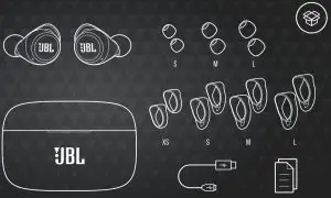 JBL Live 300TWS True Wireless Earbuds- WHAT’S