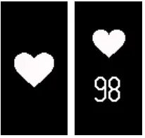 Heart Rate Interface