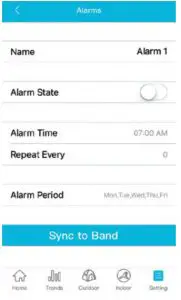 Alarm Setting Interface