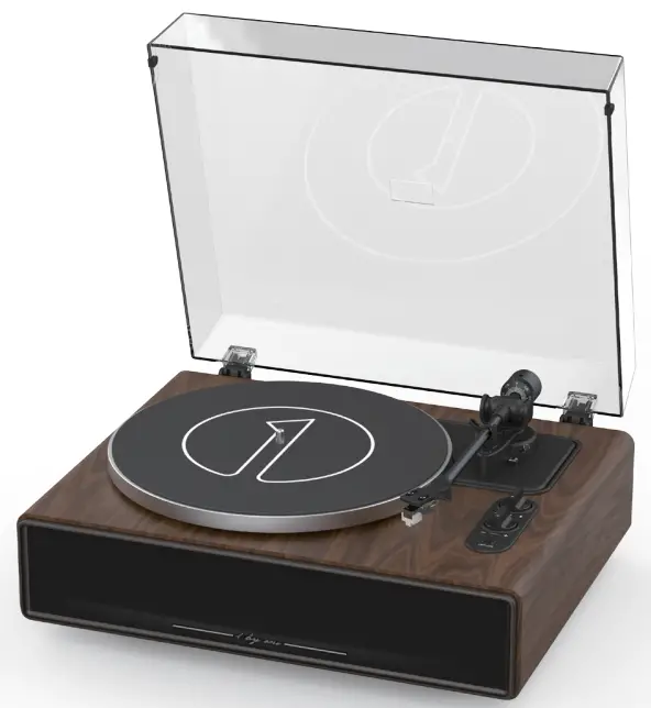 1byone High Fidelity Belt Drive Turntable
