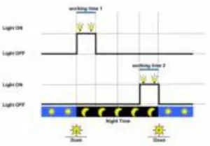 Day/night timing options