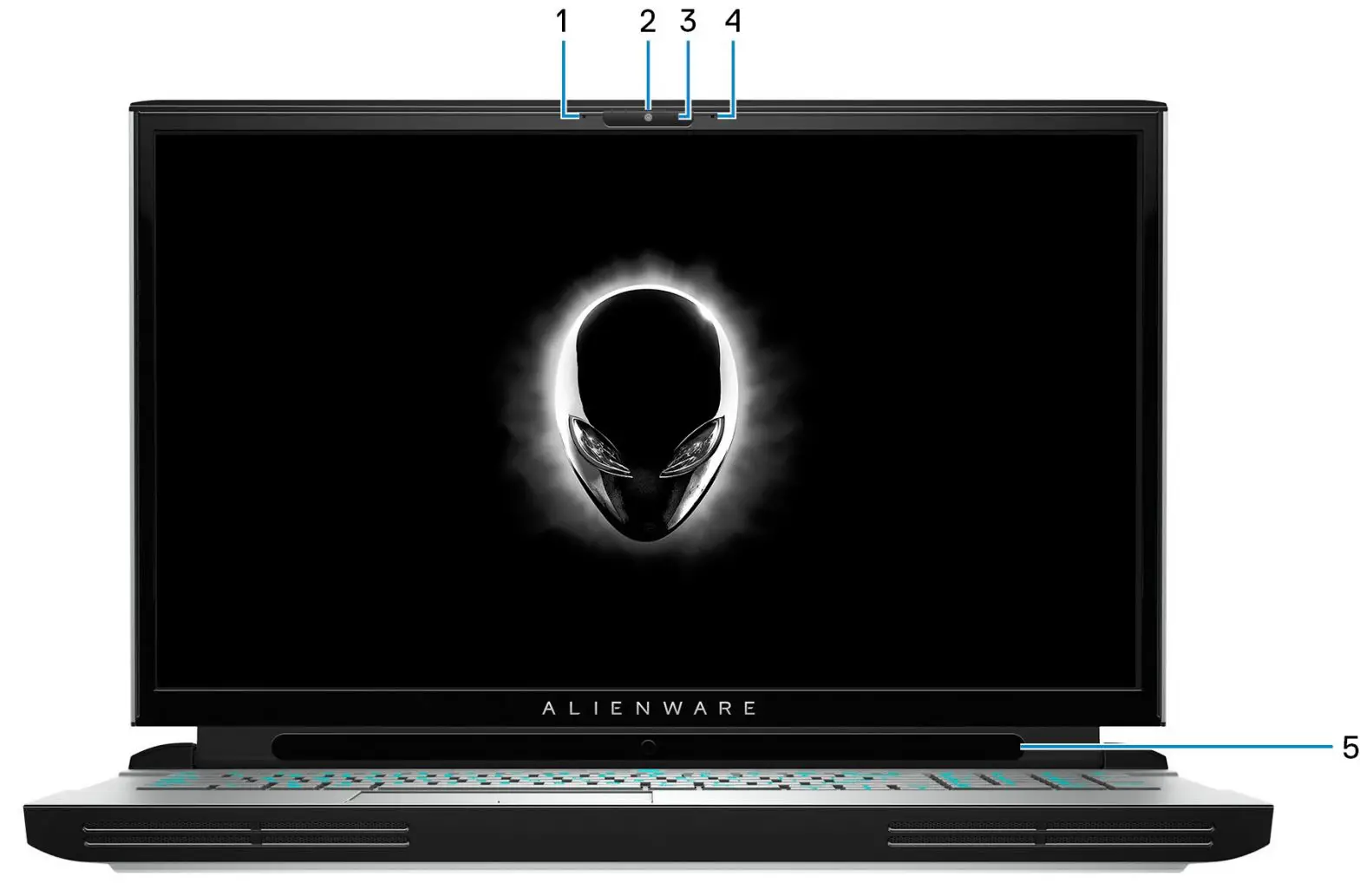 Alienware Area-51m R2 Gaming Laptop Display