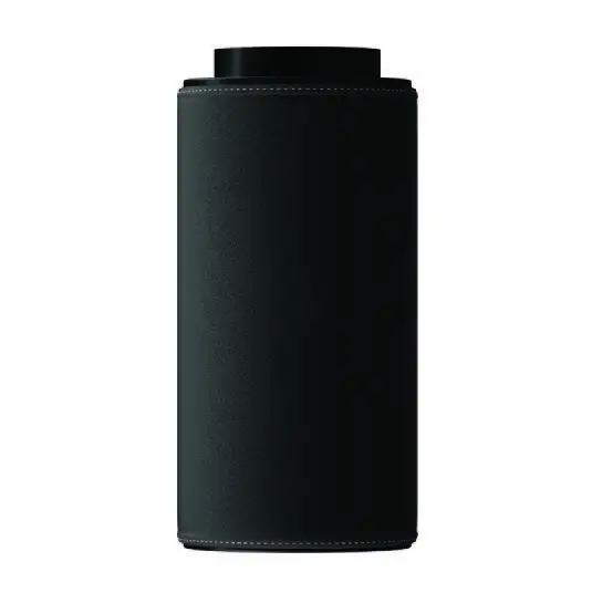 carbon filter