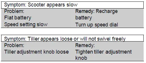 EV-Rider-S19AF-Electrically-powered-scooter-Class-A-FIG-16