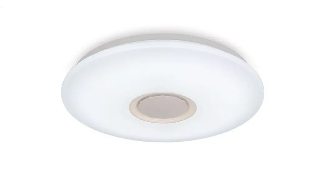 Qazqa 10395 Damla Cl 48 Smart Ceiling Light Instruction Manual