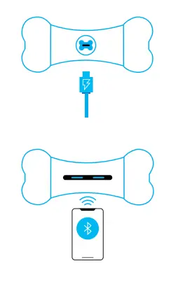 Cheerble-WICKEDBONE-Smart-Bone-3