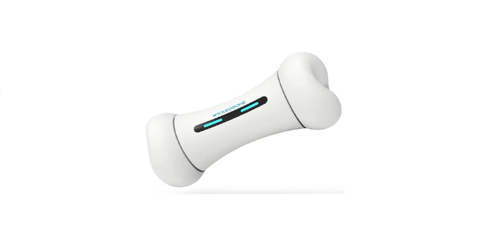 Cheerble Wickedbone Smart Bone User Guide Cheerble Wickedbone Smart Bone User Guide