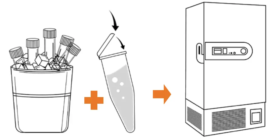 Co-Dx Logix Logix Smart Influenza A and B and SARS-CoV-2 RUO fig 15