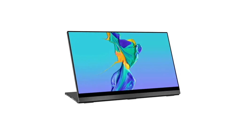 Ricoh Wleig01 Portable Monitor User Guide Ricoh Wleig01 Portable Monitor User Guide