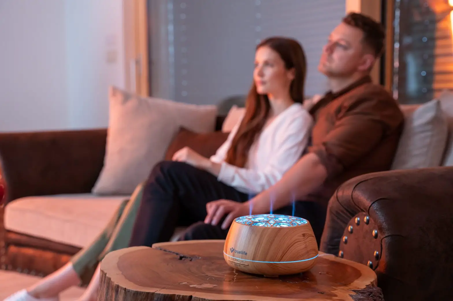 Truelife Air Diffuser D9 Smart Instruction Manual Truelife Air Diffuser D9 Smart Instruction Manual