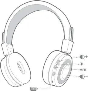 Rienok K20 - DIAGRAM 1