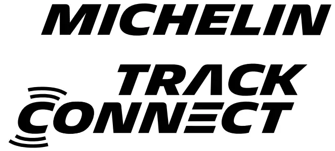 MICHELIN logo 2