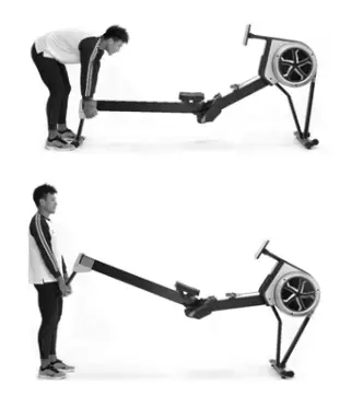 Lifespan RW7000 Rower commercial machine-fig39