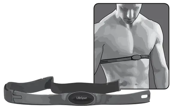 Lifespan RW7000 Rower commercial machine-fig7