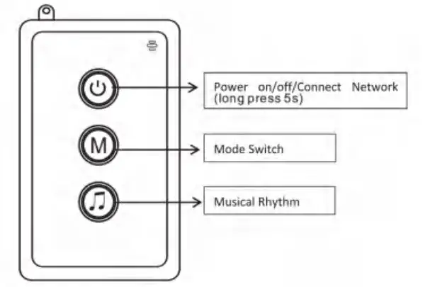 Shenzhen Dongfang Qiyi Optoelectronic Technology EL BSP 001 Neon RGBIC Rope Light - app14