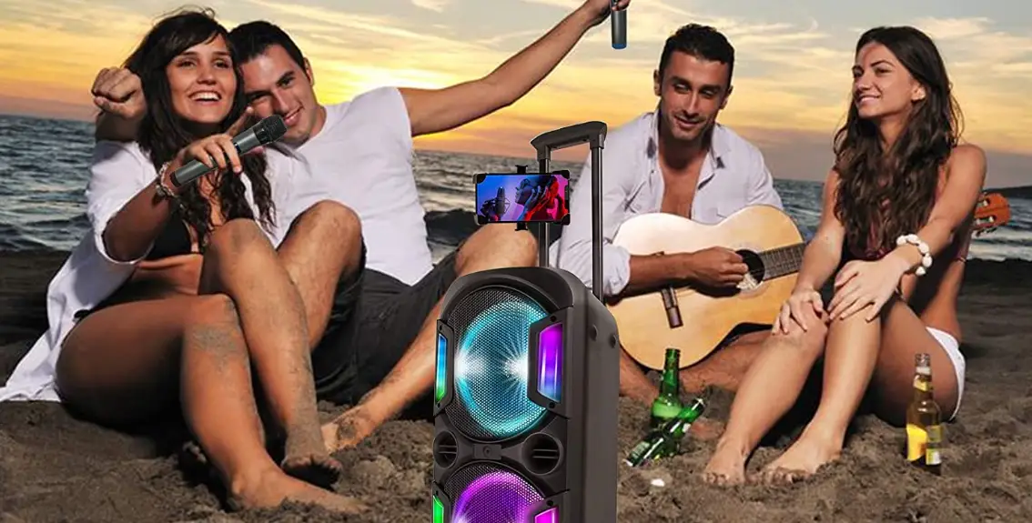 Qingyuan Ruima Electronics Td-9215 Portable Battery Speaker User Manual