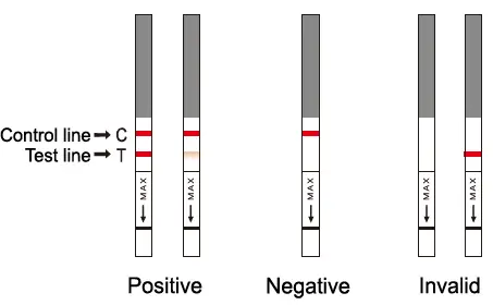 Areta ARST-100S Strep A Swab Tests-1
