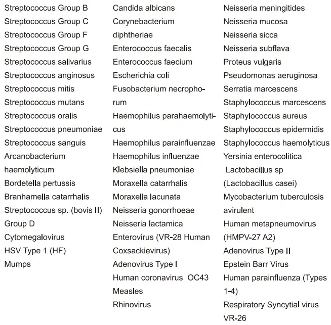 Areta ARST-100S Strep A Swab Tests-3