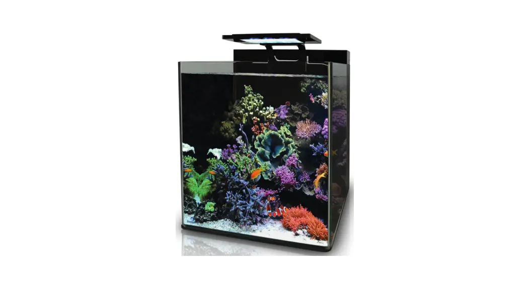Bluemarine Reef 60/90 Aquarium Instruction Manual