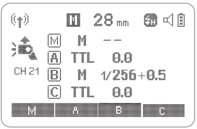 Wireless Flash Shooting with Manual Flash