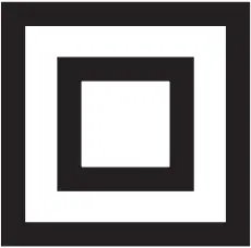 SUNJOE SBJ603E - Safety Symbols 11