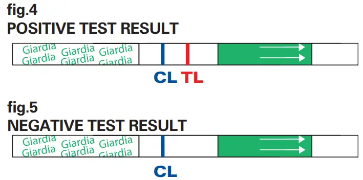 MEGACOR FASTest GIARDIA Strip - RESULT