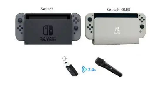 HONCAM HC-A204FT 2.4G Wireless Gaming - Switch OLED