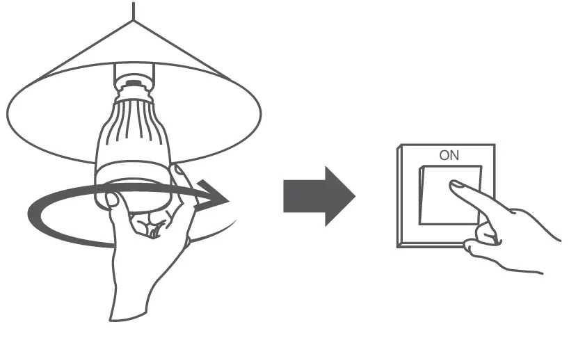 Install the Light Bulb