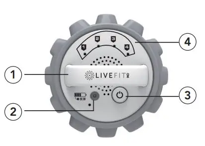 LIVEFIT Vibrating Roller - Product Overview