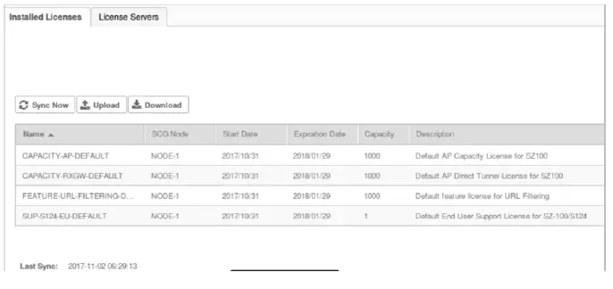 SZ100 Ruckus SmartZone Wireless Support-13