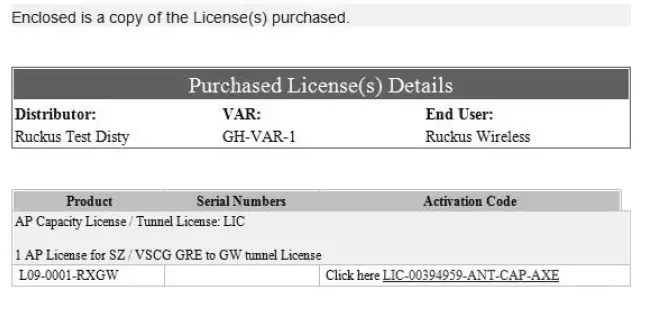 SZ100 Ruckus SmartZone Wireless Support-5