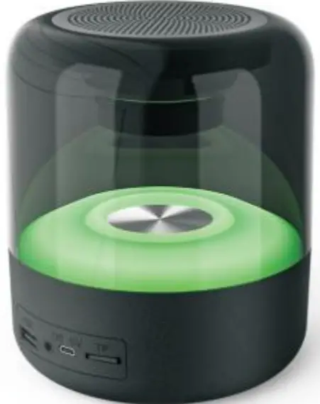 Shenzhen Xindongsheng Electronic Technology S531 Multimedia Player