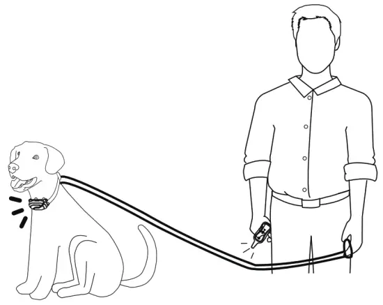 PATPET P COLLAR910 Dog Training Collar - remot control coller stamulated