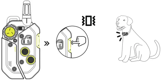 PATPET P COLLAR910 Dog Training Collar - vaibrasan