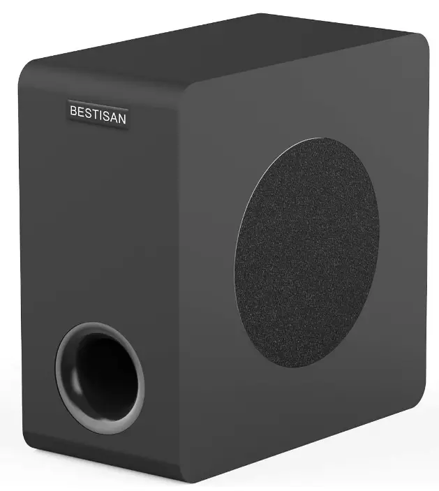 BESTISAN-SW65D-6-5-Home-Audio-Subwoofer-Product