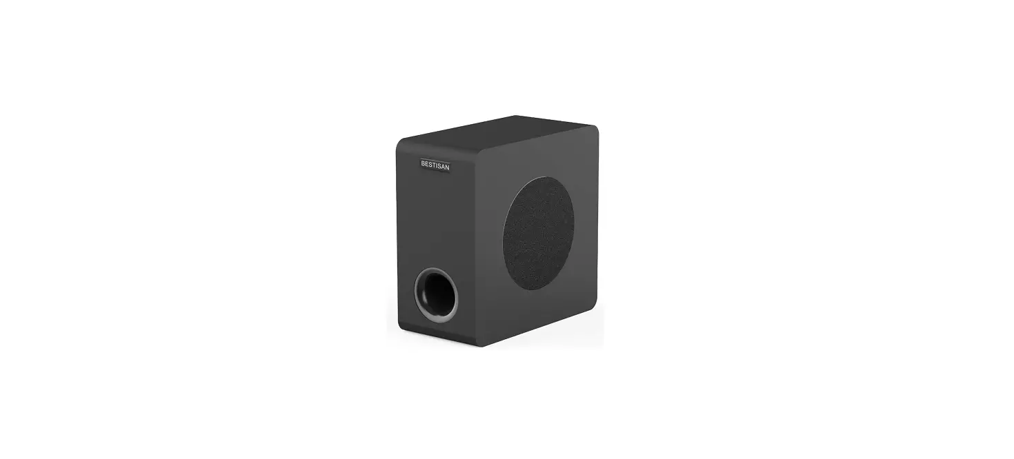 Bestisan Sw65d Home Audio Subwoofer Operational Guide
