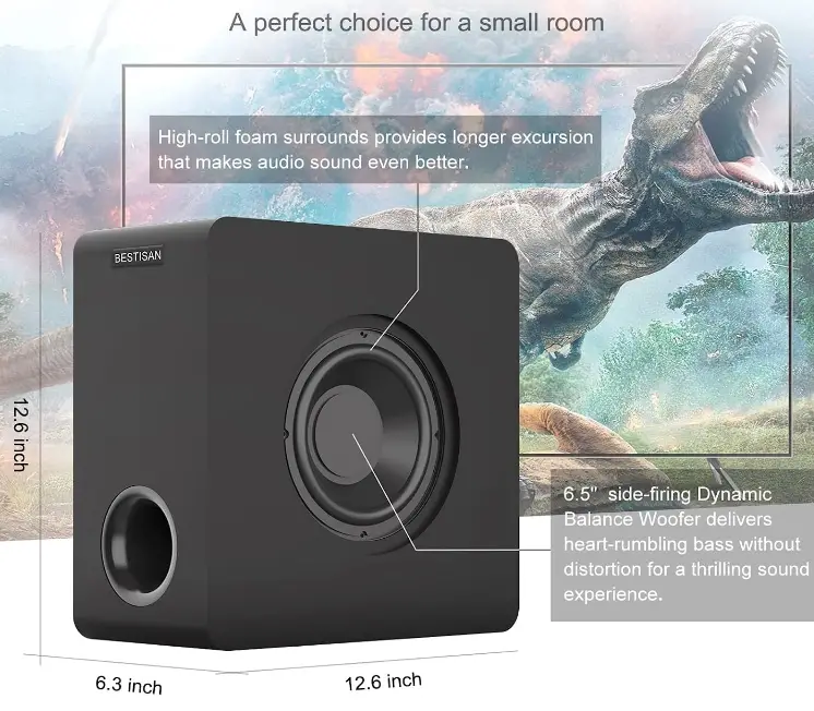 BESTISAN-SW65D-6-5-Home-Audio-Subwoofer-fig-1