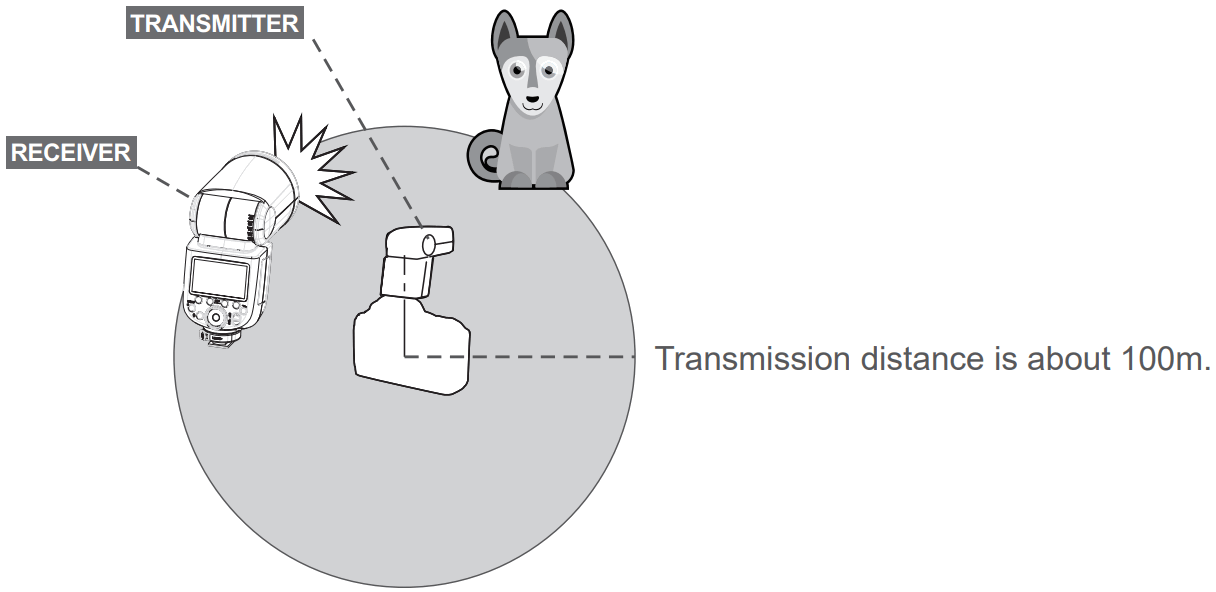 PiXAPRO GIO1 P TTL Li Ion Round Head Camera Flash - FIGURE 30