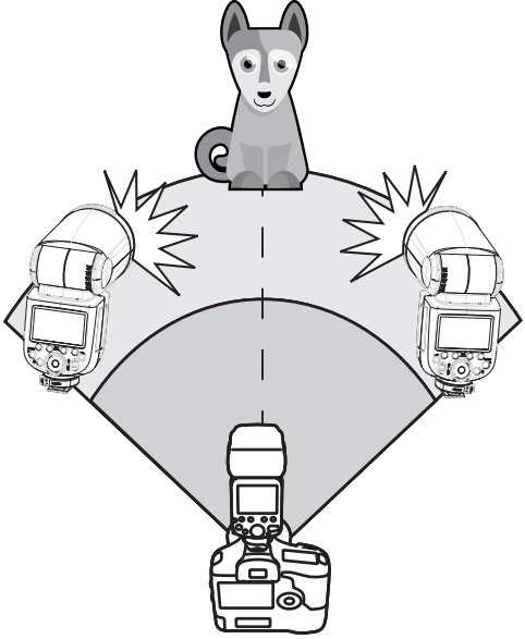 PiXAPRO GIO1 P TTL Li Ion Round Head Camera Flash - FIGURE 44