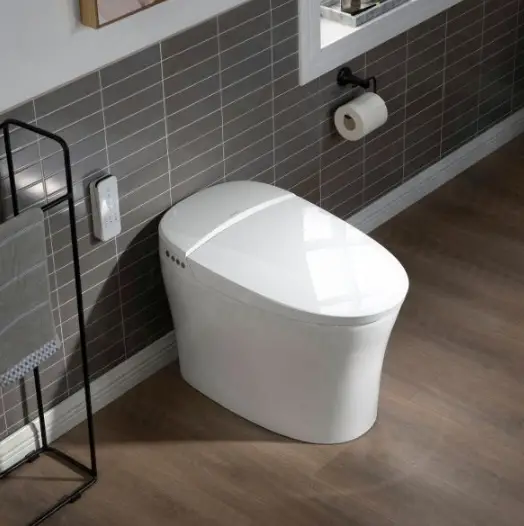 WOODBRIDGE-B0970S-Smart-Bidet-Toilet-Instruction-Manual-PRODUCT