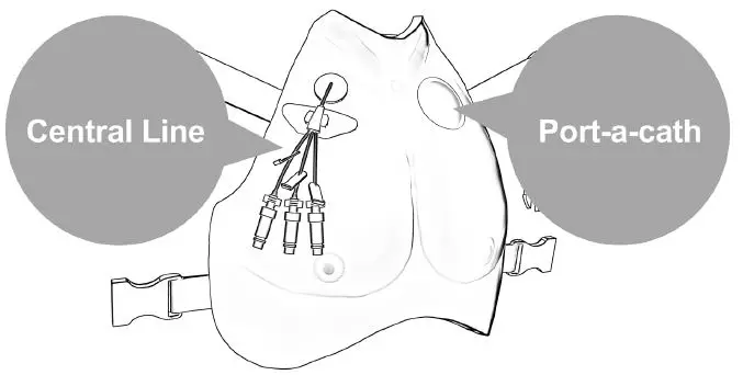 AVKIN-Avline-v7-Elite-Simulation-Package-FIG-3