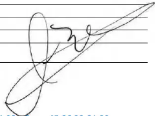 DENVER SEL-85350F Lime Electric Scooter - sg