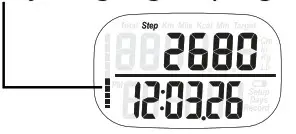 3D Hip and Pocket Pedometer - Daily Target goal progress indicator