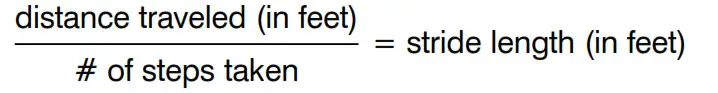 3D Hip and Pocket Pedometer - Formula