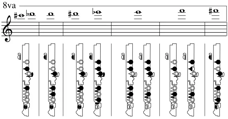 YAMAHA Piccolo FluteHand Geschlossen