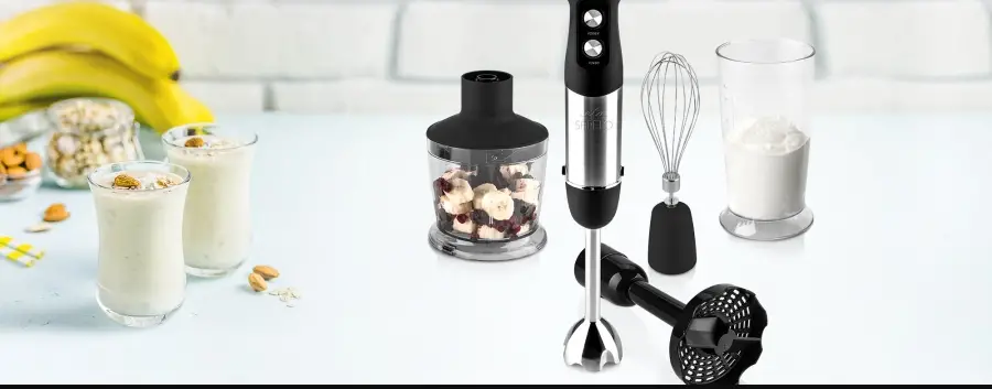 Eta 3013 Sapelo Stick Blender Instruction Manual