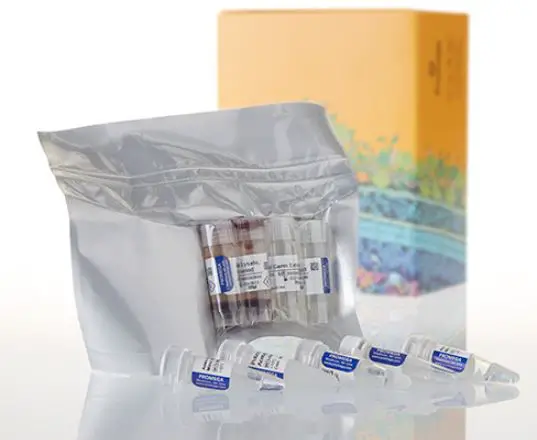 Promega-L4380-Wheat-Germ-Extract-