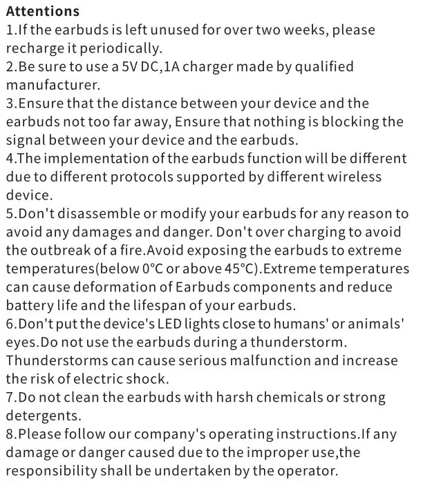 True Wireless Earbuds - Attentions