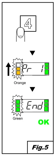 Maidaid Halcyon-FIG5